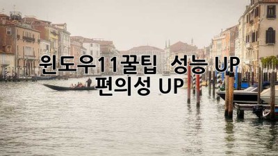 윈도우11꿀팁 🚀 성능 UP! 편의성 UP!