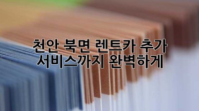 천안 북면 렌트카: 추가 서비스까지 완벽하게!