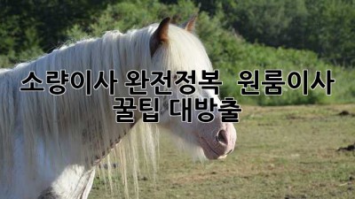 소량이사 완전정복 📦 원룸이사 꿀팁 대방출!